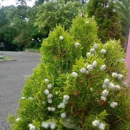 Quinta De Sao Francisco 3* Sintra